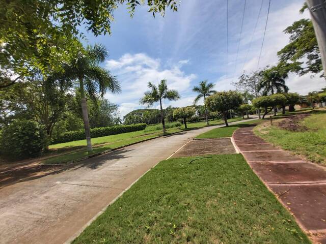 Venta en KM 2.5 Vía Arboletes - Montería