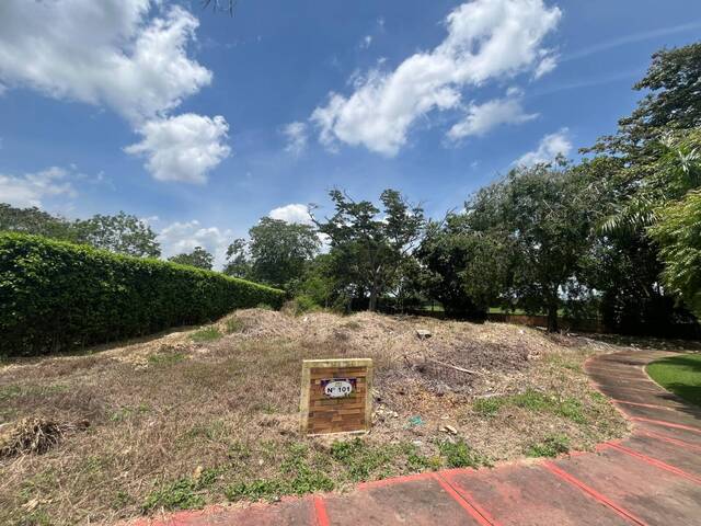 #1699 - Lotes para Venta en Montería - COR - 1